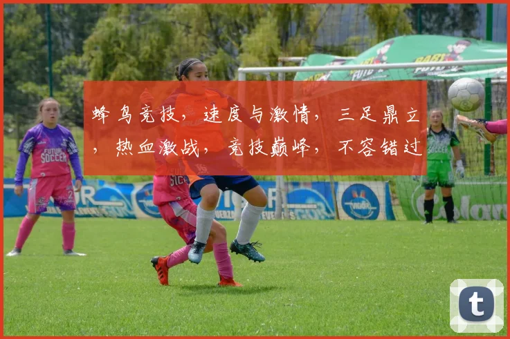 蜂鸟竞技，速度与激情，三足鼎立，热血激战，竞技巅峰，不容错过，一触即发