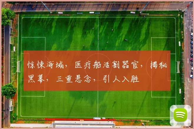惊悚海域，医疗船活割器官，揭秘黑幕，三重悬念，引人入胜
