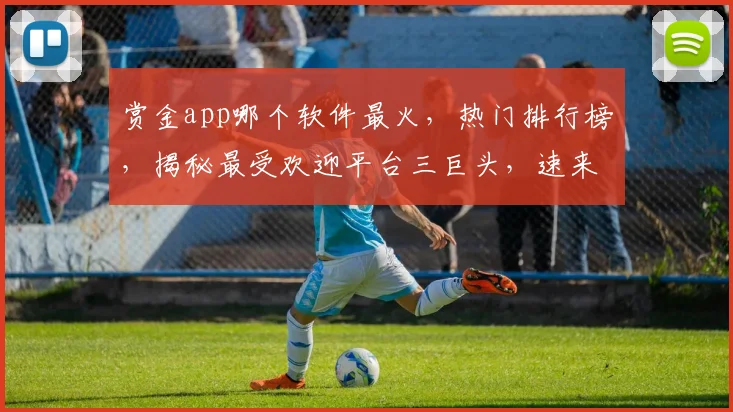 赏金app哪个软件最火，热门排行榜，揭秘最受欢迎平台三巨头，速来围观