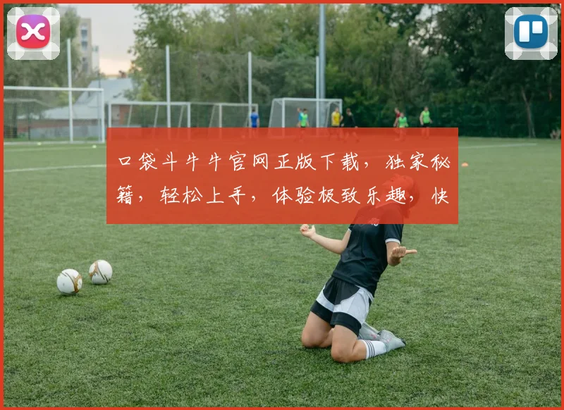 口袋斗牛牛官网正版下载，独家秘籍，轻松上手，体验极致乐趣，快来下载