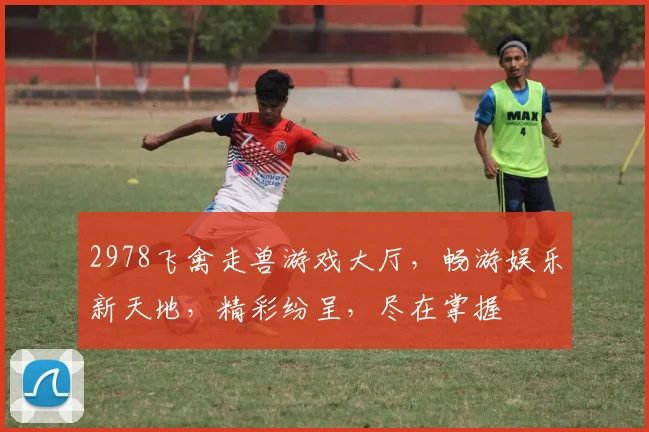 2978飞禽走兽游戏大厅，畅游娱乐新天地，精彩纷呈，尽在掌握