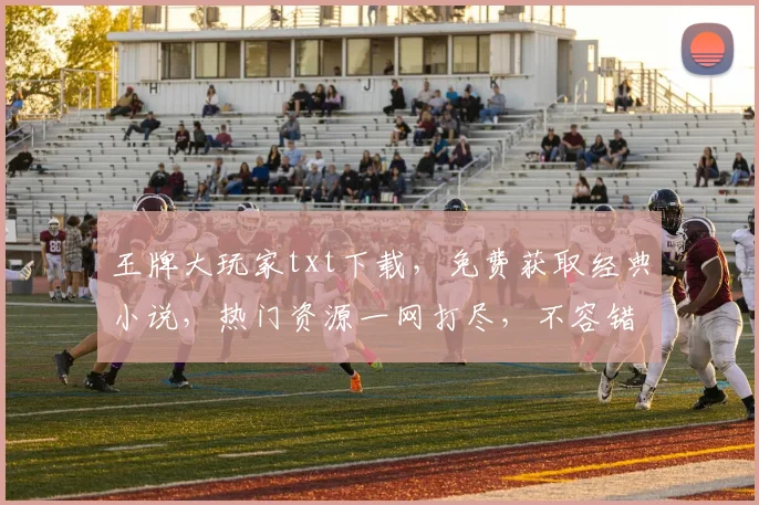 王牌大玩家txt下载，免费获取经典小说，热门资源一网打尽，不容错过