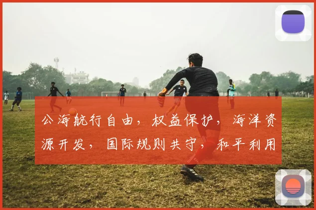 公海航行自由，权益保护，海洋资源开发，国际规则共守，和平利用，共谋发展。